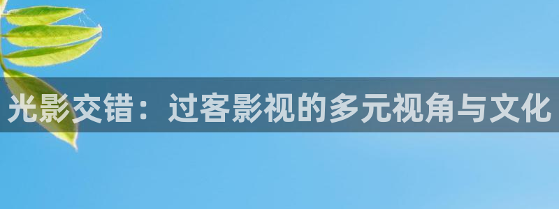 泡泡影院神马：光影交错：过客影视的多元视角与文化