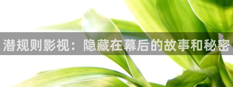 泡泡片：潜规则影视：隐藏在幕后的故事和秘密