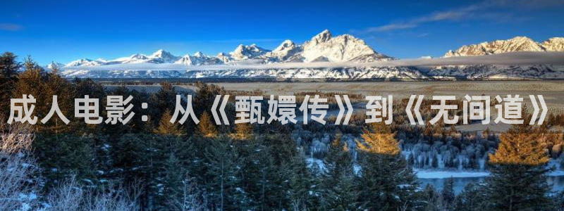 ,泡泡影视：成人电影：从《甄嬛传》到《无间道》