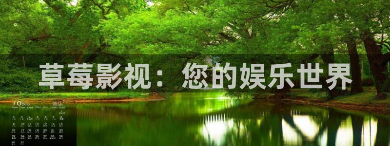 泡泡视频在线播放免费观看：草莓影视：您的娱乐世界