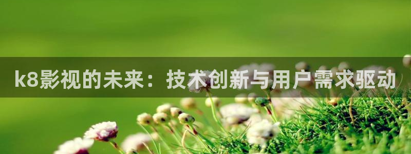 泡泡影视天堂手机版：k8影视的未来：技术创新与用户需求驱动