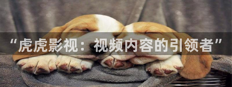 泡泡影视电影天堂：“虎虎影视：视频内容的引领者”