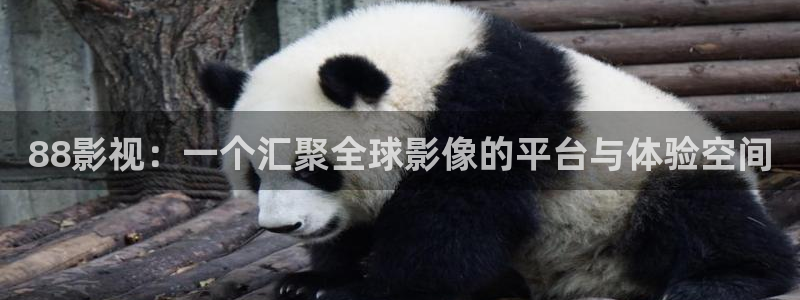 泡泡影视大全：88影视：一个汇聚全球影像的平台与体验空间
